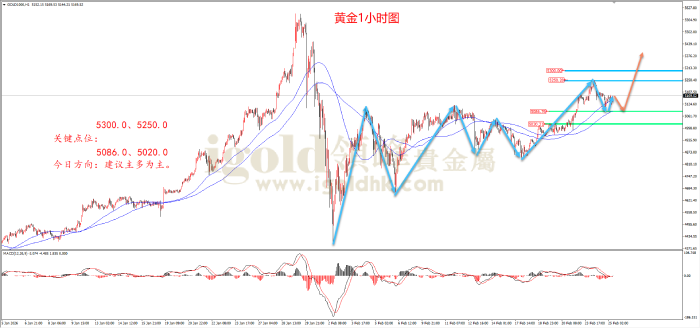 2026年02月25日黄金走势图