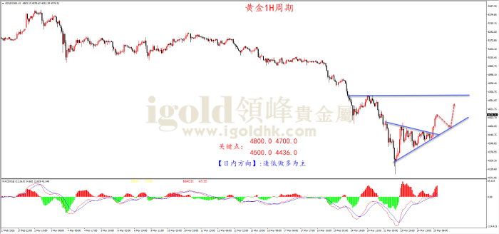 2026年03月25日黄金走势图