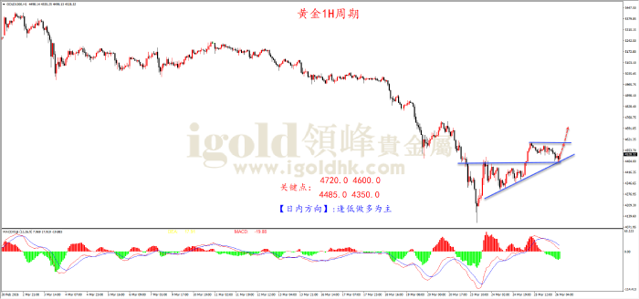 2026年03月26日黄金走势图