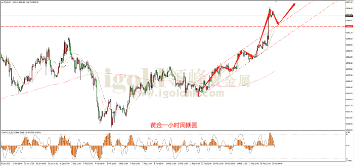2020年2月19日黄金走势图