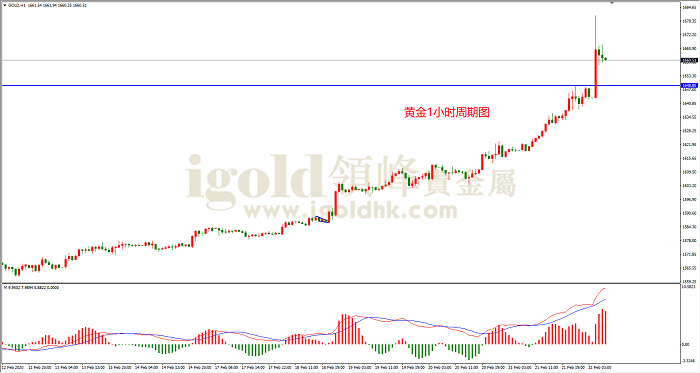 2020年2月24日黄金走势图