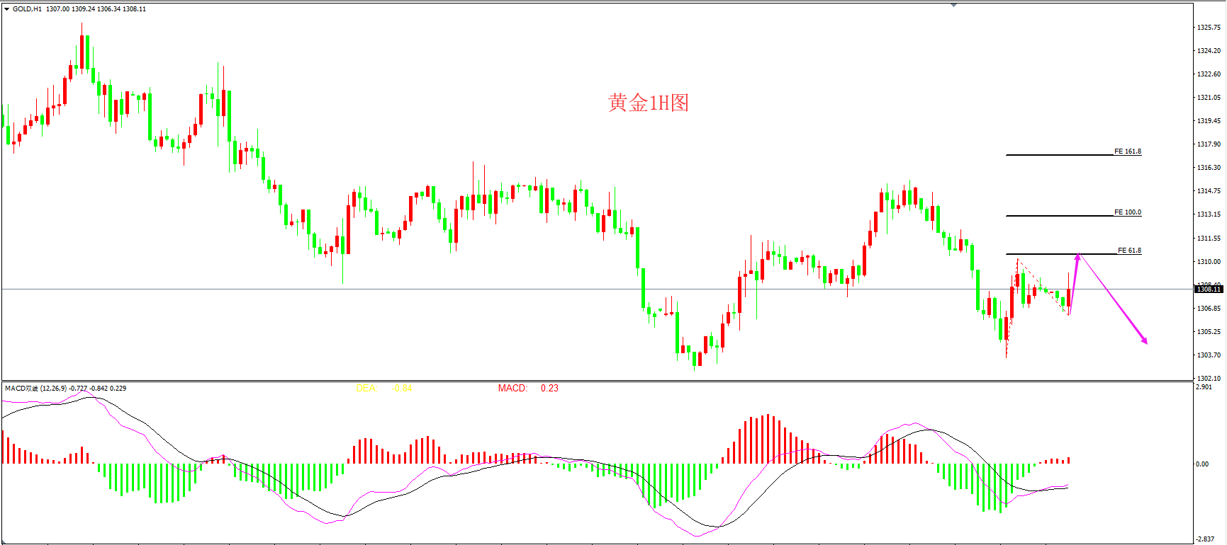 2019年2月12日早间黄金走势图