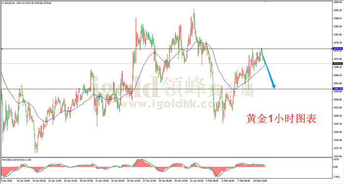 2020年2月11日黄金走势图