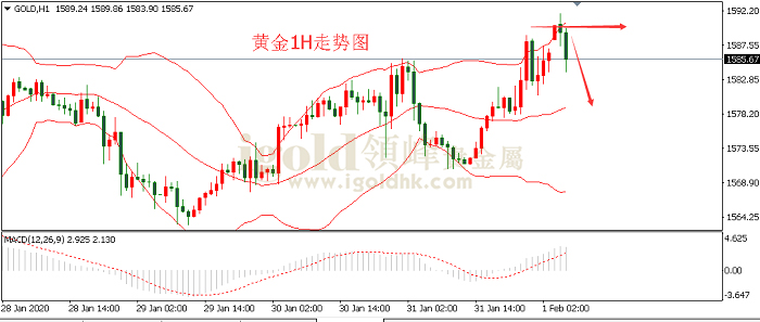 2020年2月3日黄金走势图