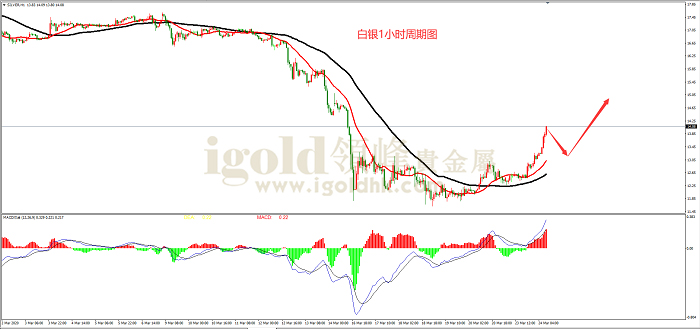 2020年3月24日白银走势图